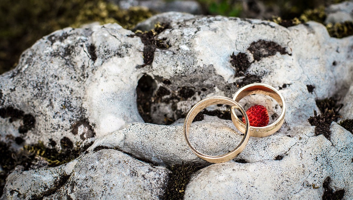 Ipsum cursus vestibulum at interdum Vivamus